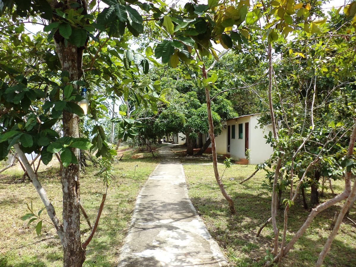 Anaconda Amazon Island Vila Manaus Exterior foto